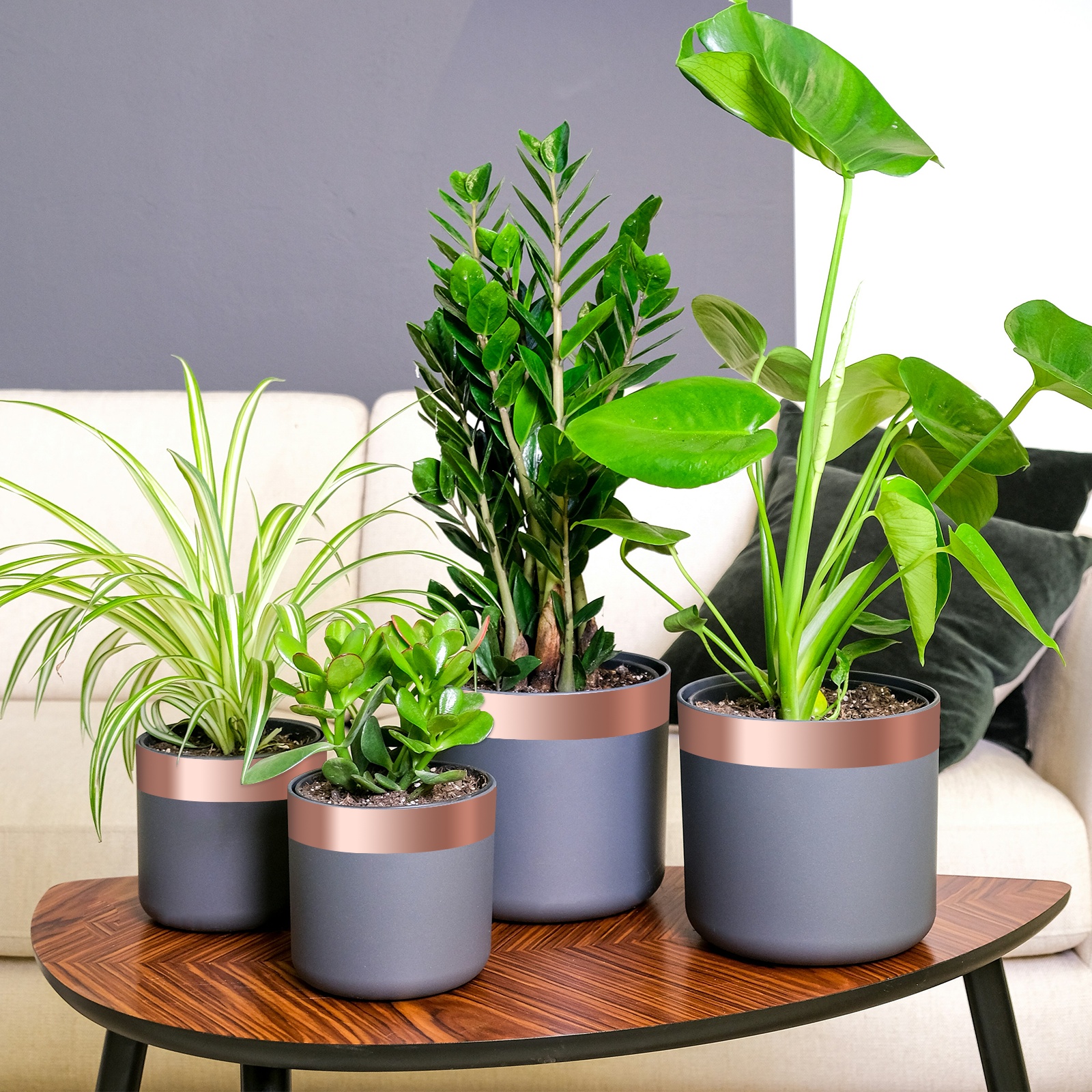 Kupferband 6 pcs Kupferrot 2000 x 5 cm