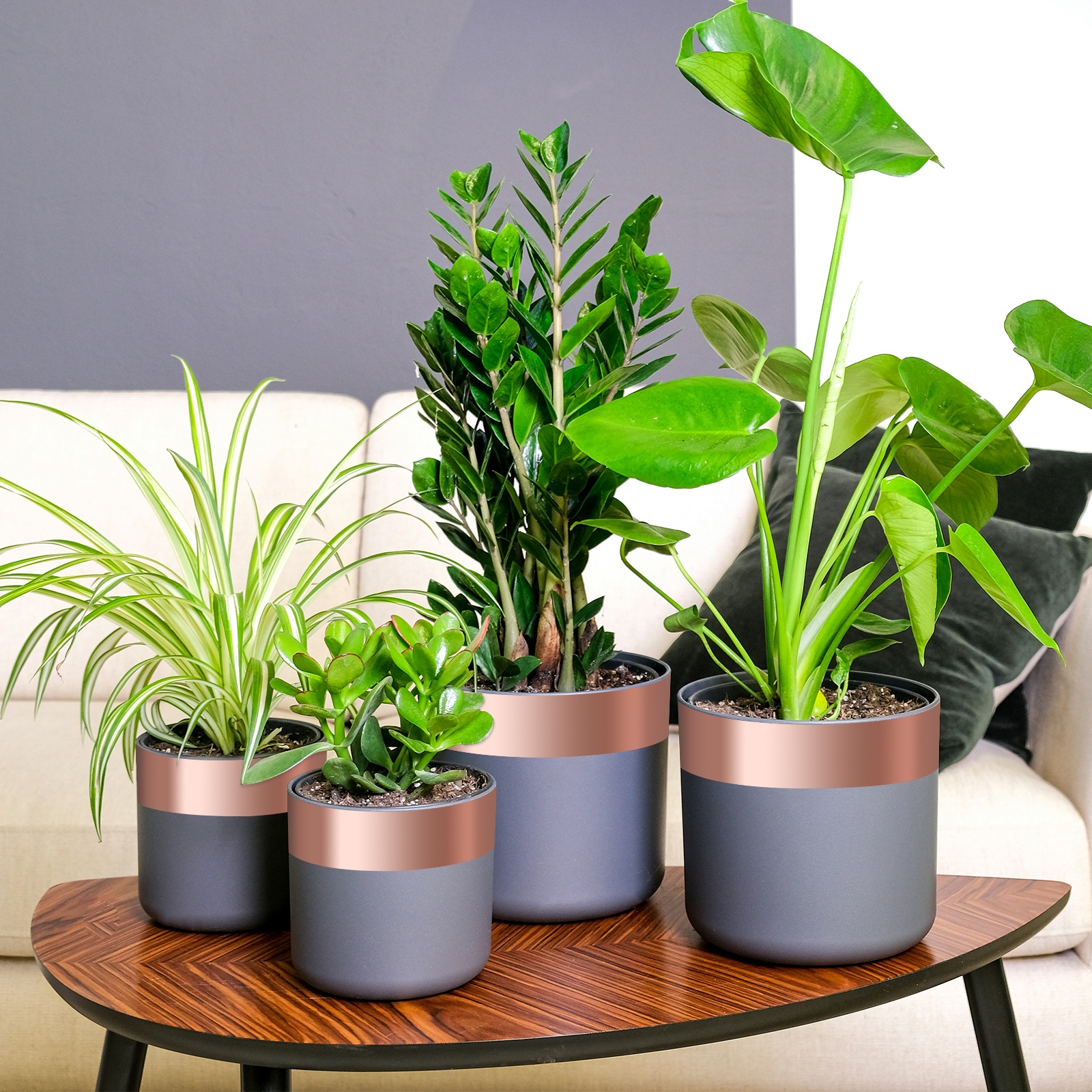 Kupferband 6 pcs Kupferrot 2000 x 5 cm