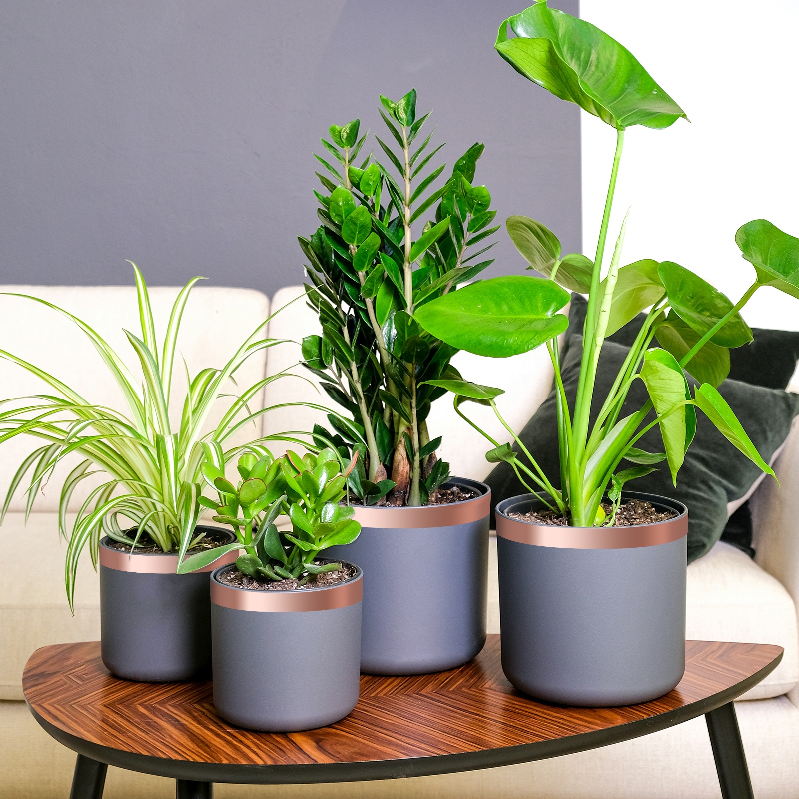 Kupferband 6 pcs Kupferrot 2000 x 5 cm