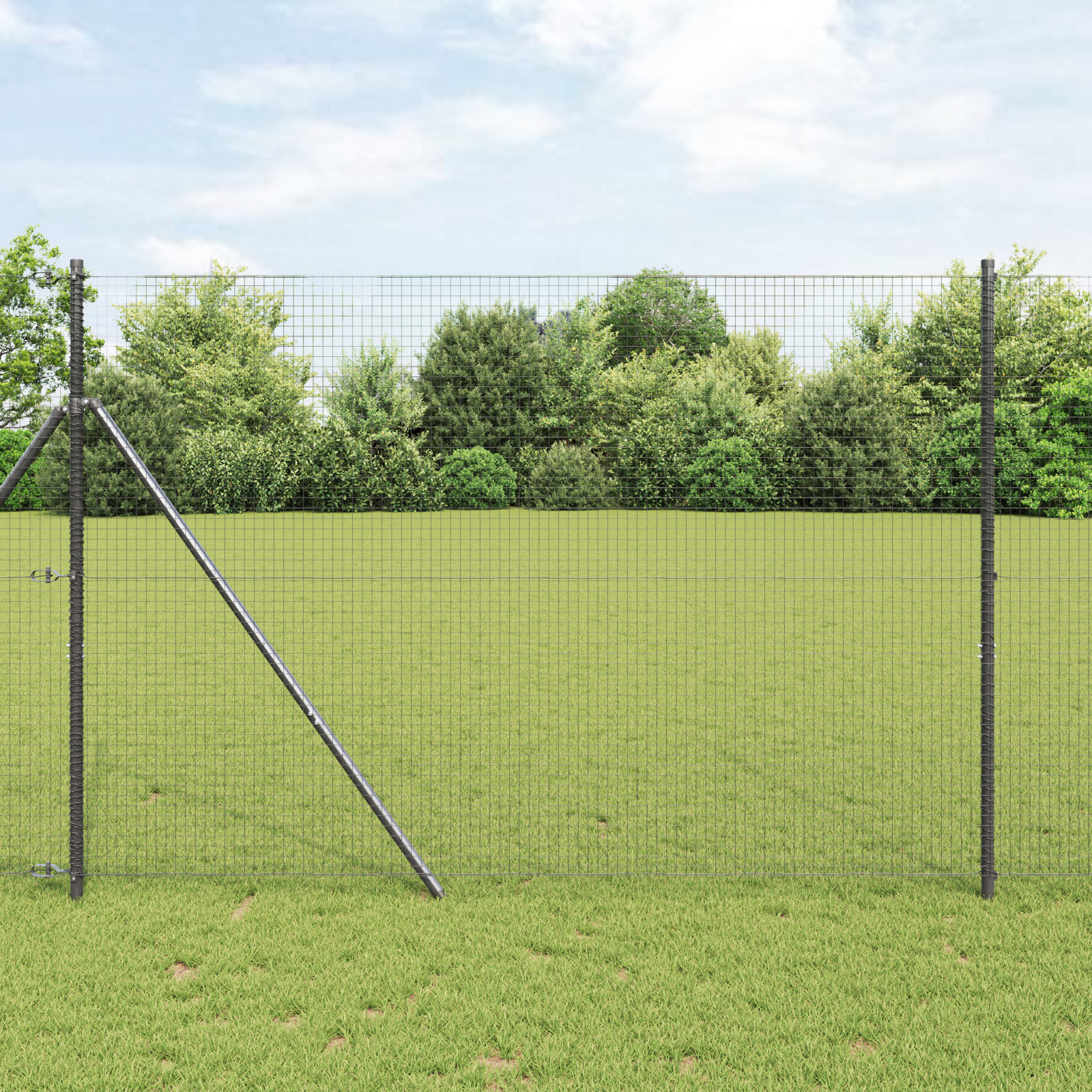 geschweißter Drahtzaun Grau 1,6x25 m Stahl