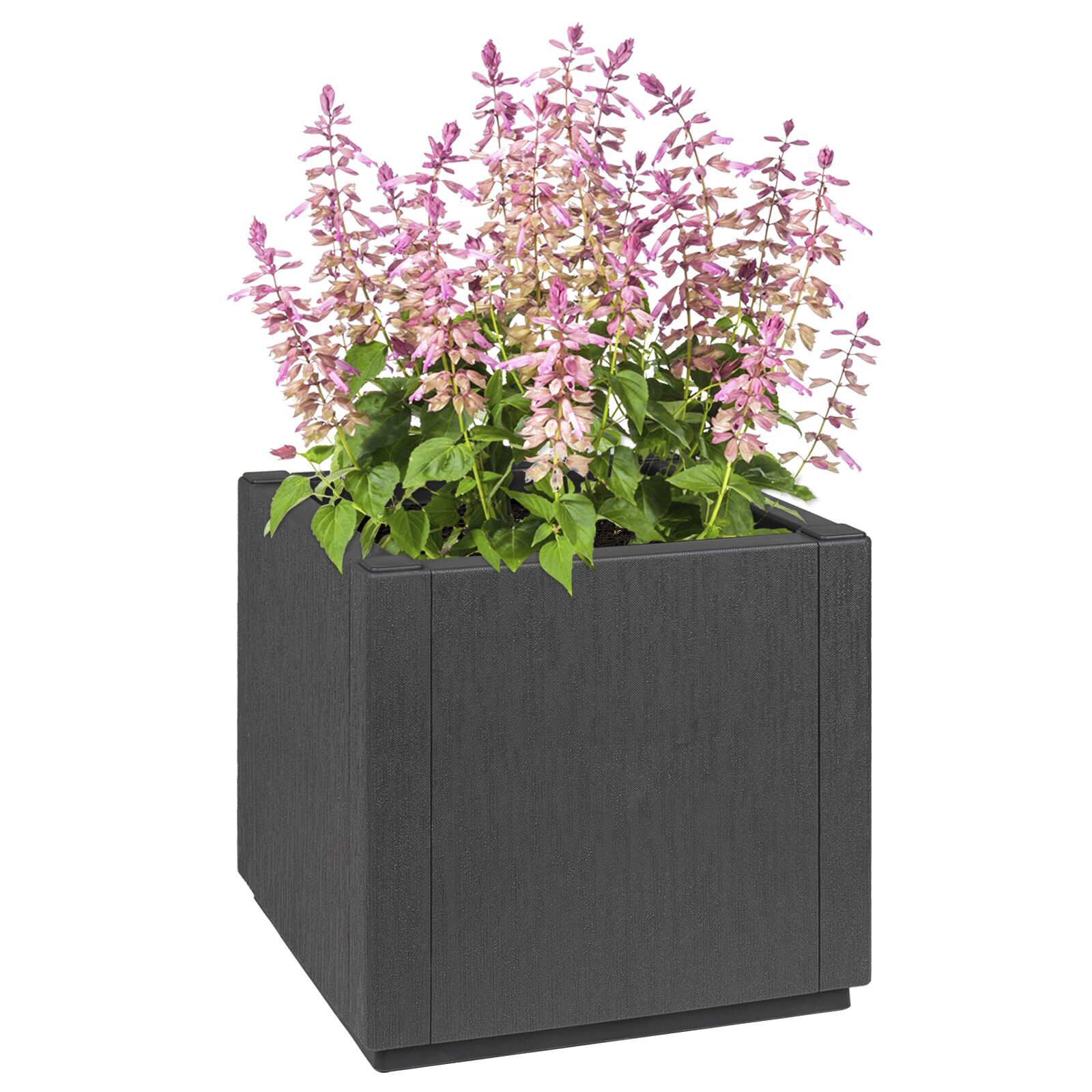 Gartenpflanzer dunkelgrau 36x36x35 cm aus PP